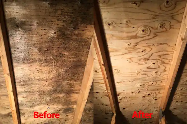 water damage restoration service Grand Forks
